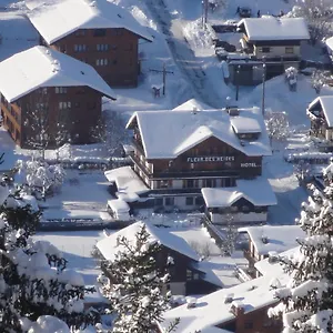 Fleur Des Neiges 3* Morzine